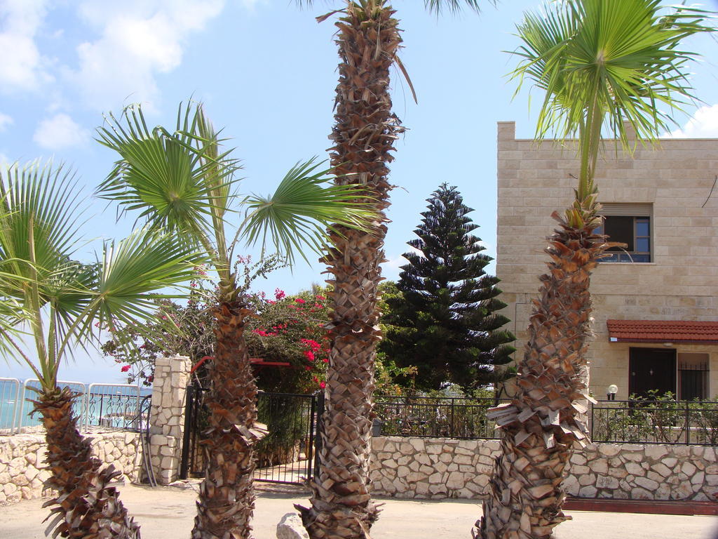 Tamer Guest House Haifa Buitenkant foto